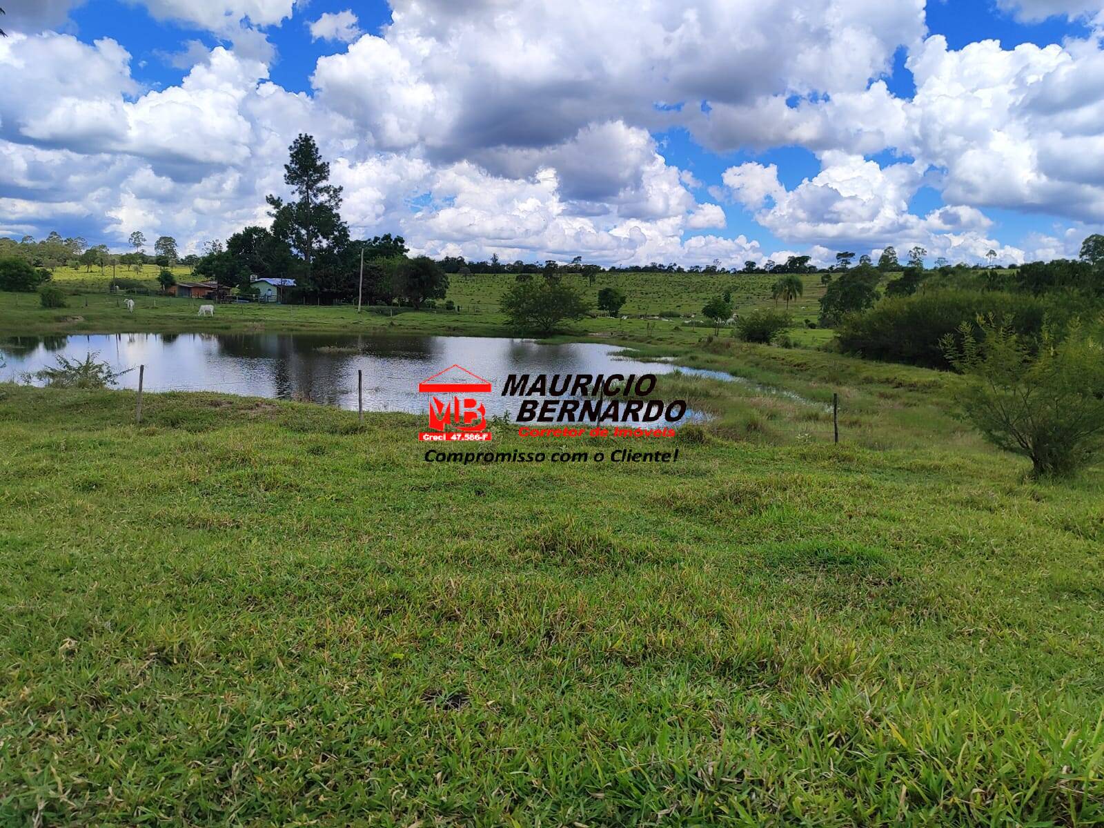Terreno, 71 hectares - Foto 16