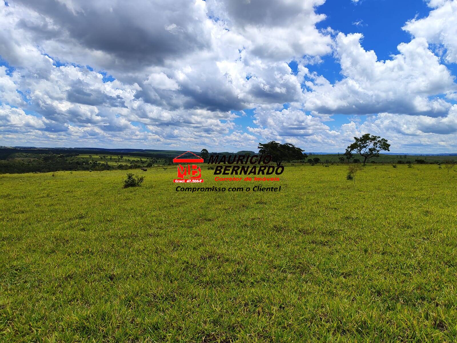 Terreno, 71 hectares - Foto 18