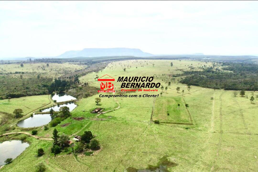 Terreno, 71 hectares - Foto 17