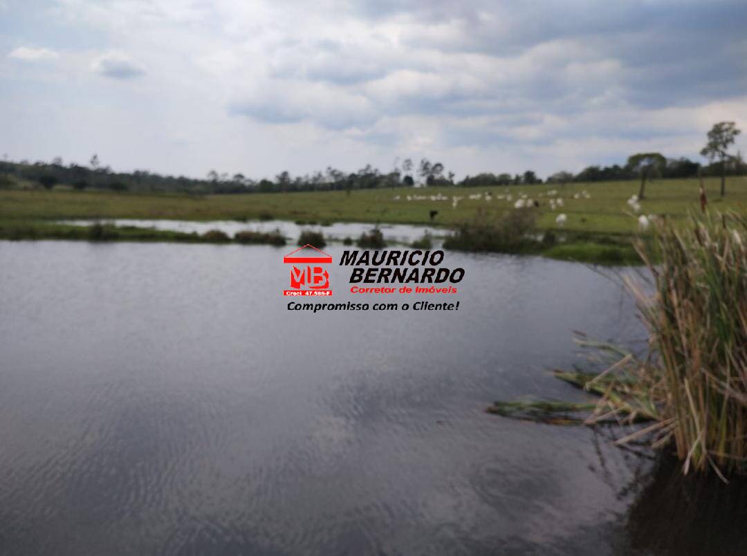 Terreno, 71 hectares - Foto 3