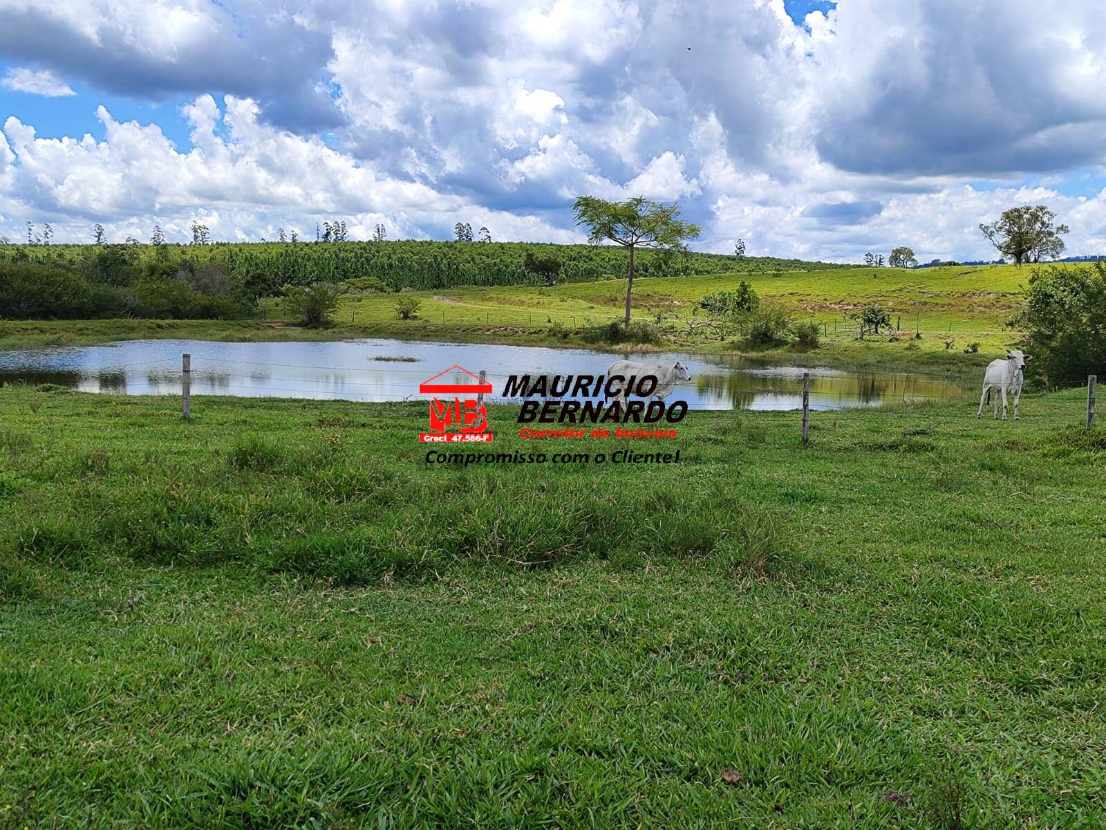 Terreno, 71 hectares - Foto 19