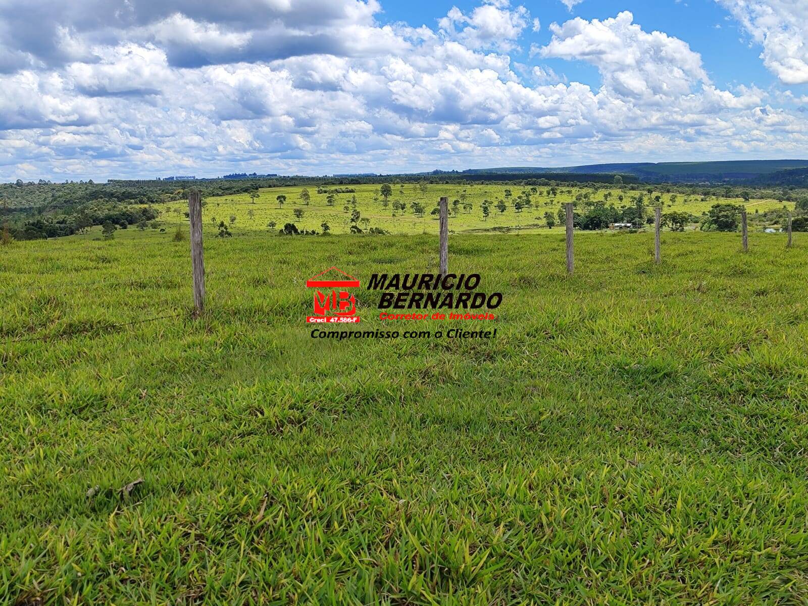 Terreno, 71 hectares - Foto 23