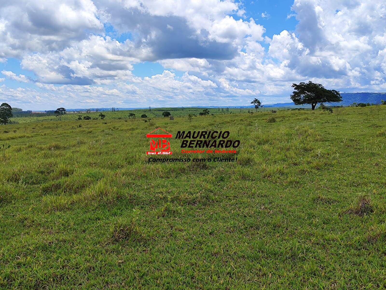Terreno, 71 hectares - Foto 25