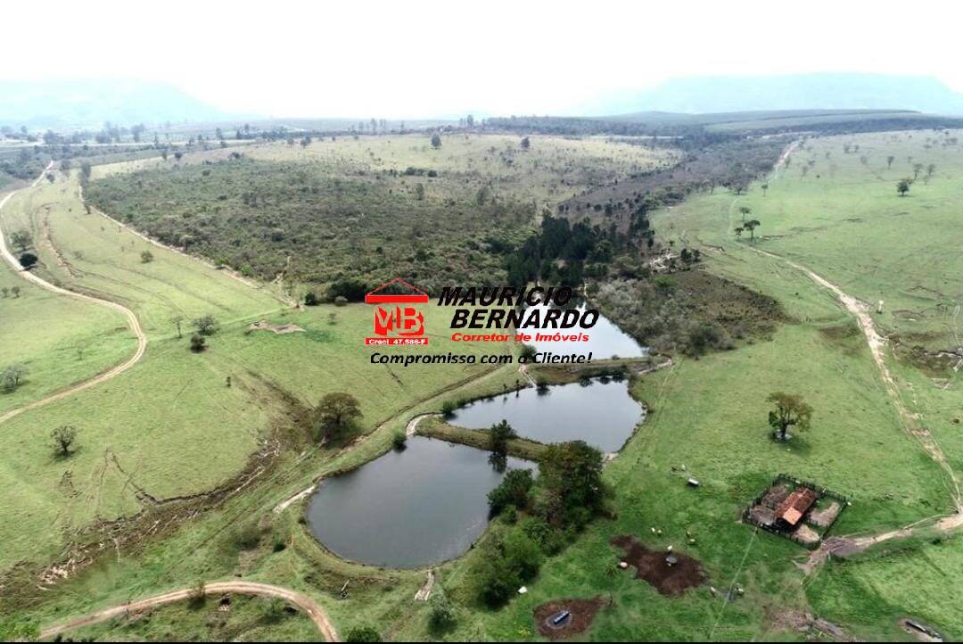 Terreno, 71 hectares - Foto 4