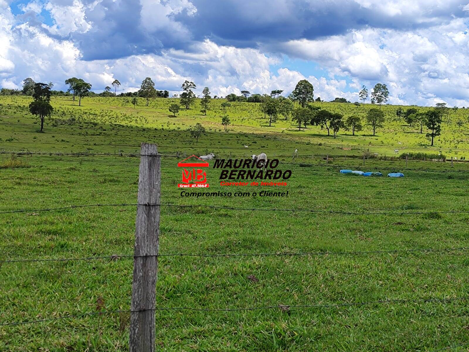 Terreno, 71 hectares - Foto 27