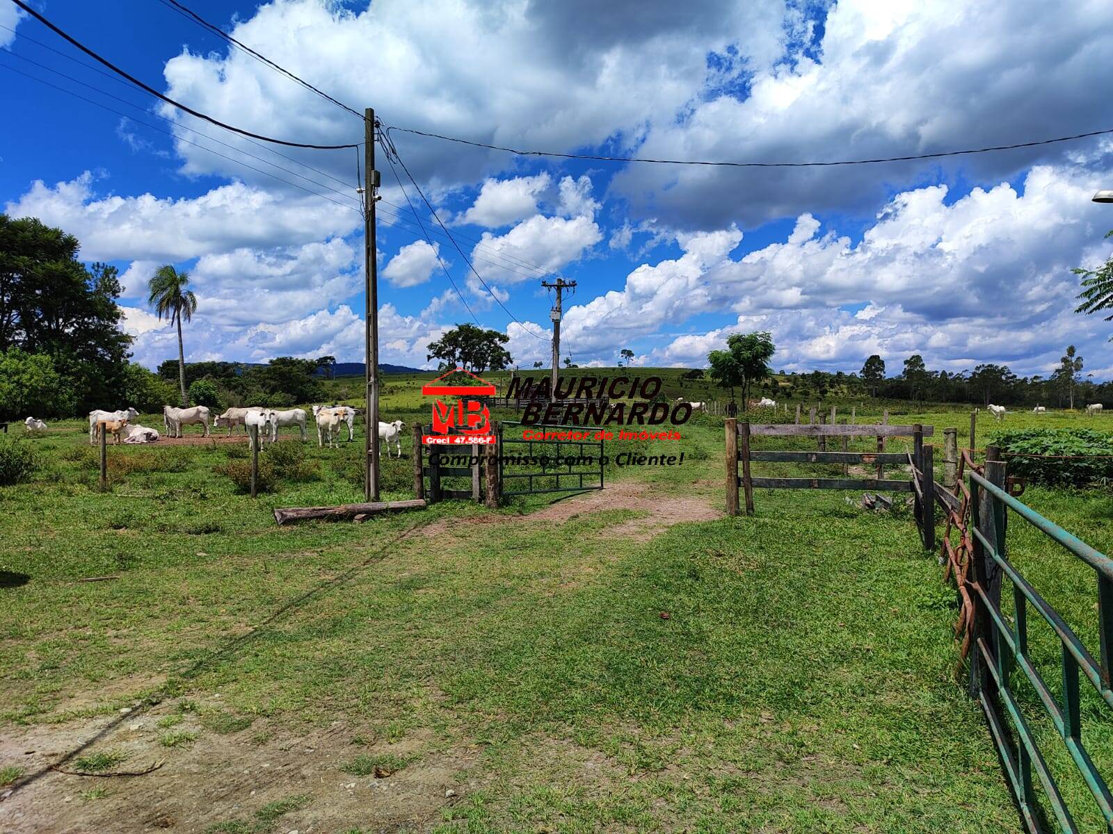 Terreno, 71 hectares - Foto 28