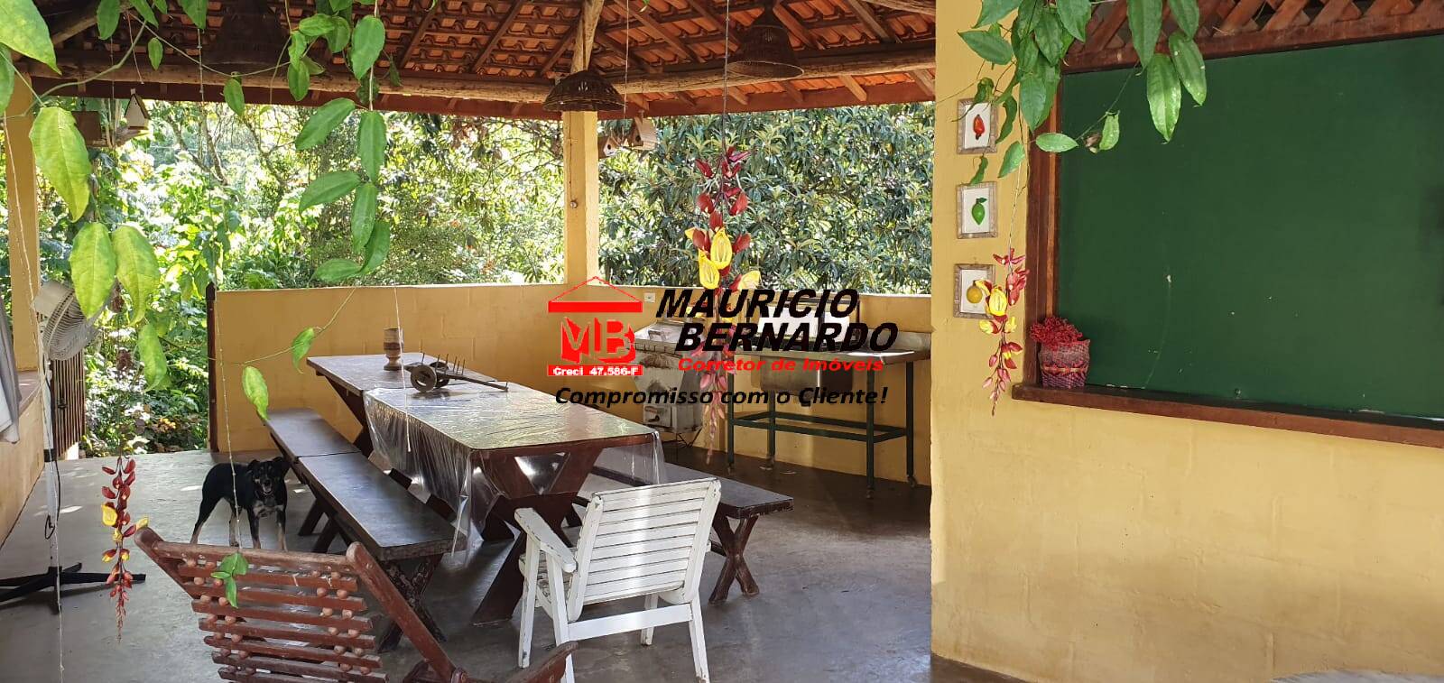 Terreno, 338 m² - Foto 18