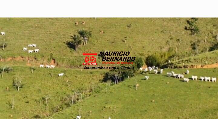 Terreno, 338 m² - Foto 6