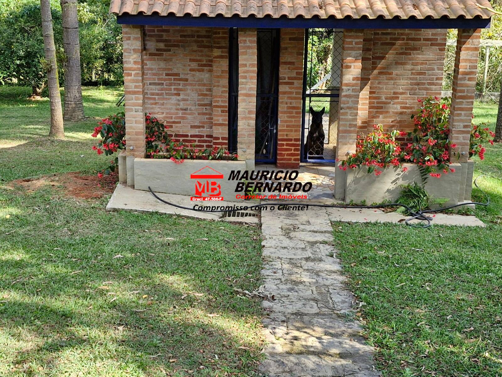 Sítio, 4 m² - Foto 22