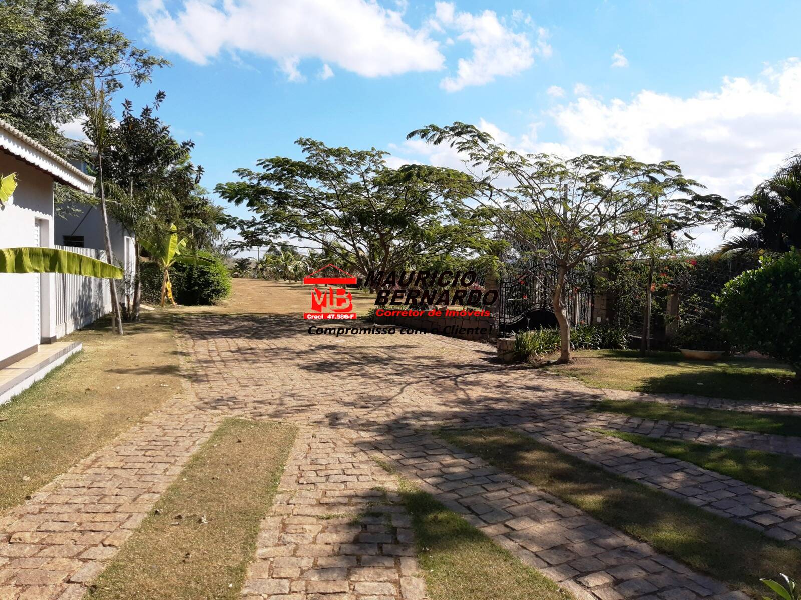 Sítio, 2 hectares - Foto 11