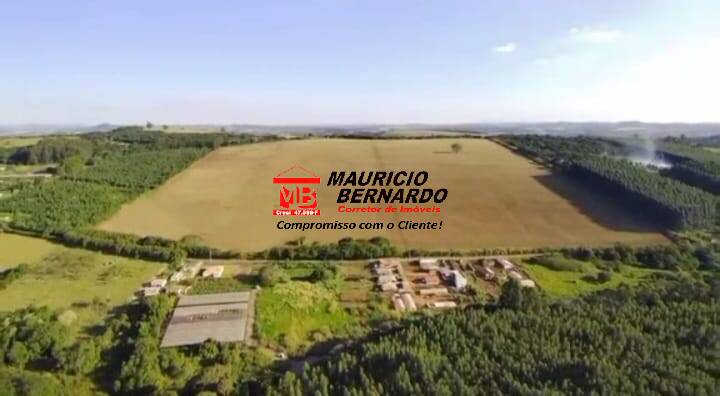 Terreno, 54 hectares - Foto 6