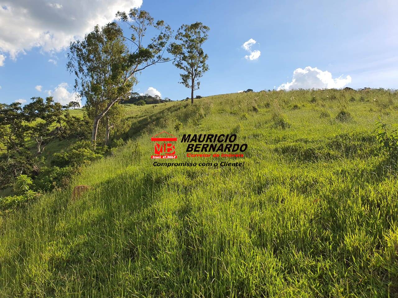 Terreno, 145 m² - Foto 15