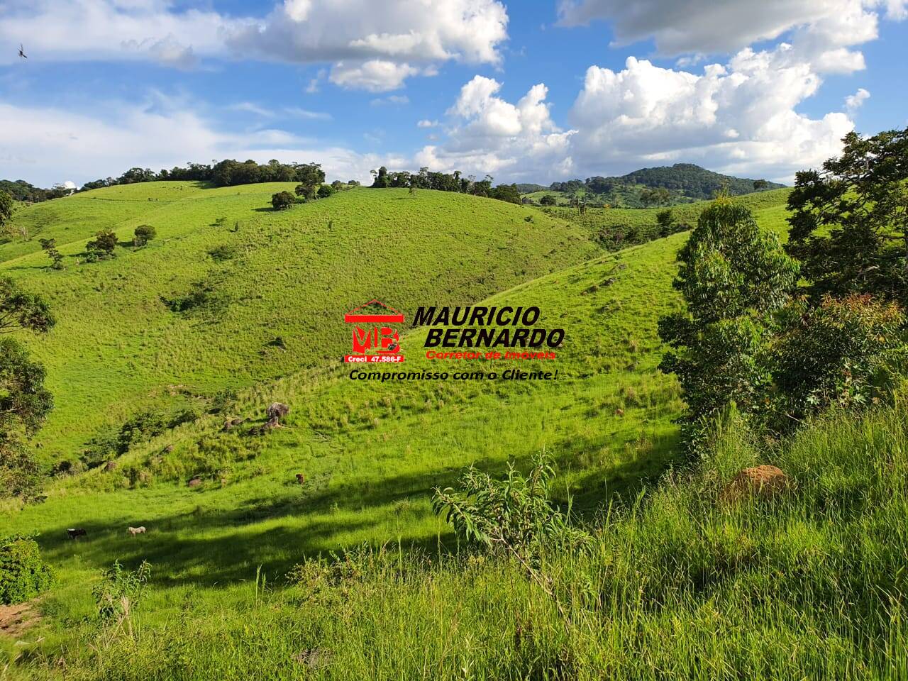 Terreno, 145 m² - Foto 25