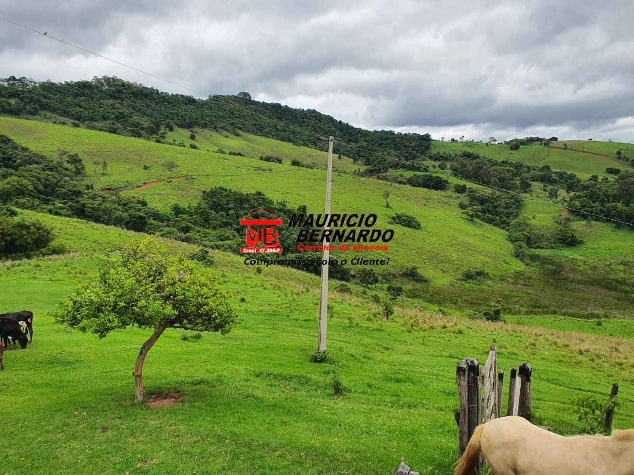 Terreno, 145 m² - Foto 26