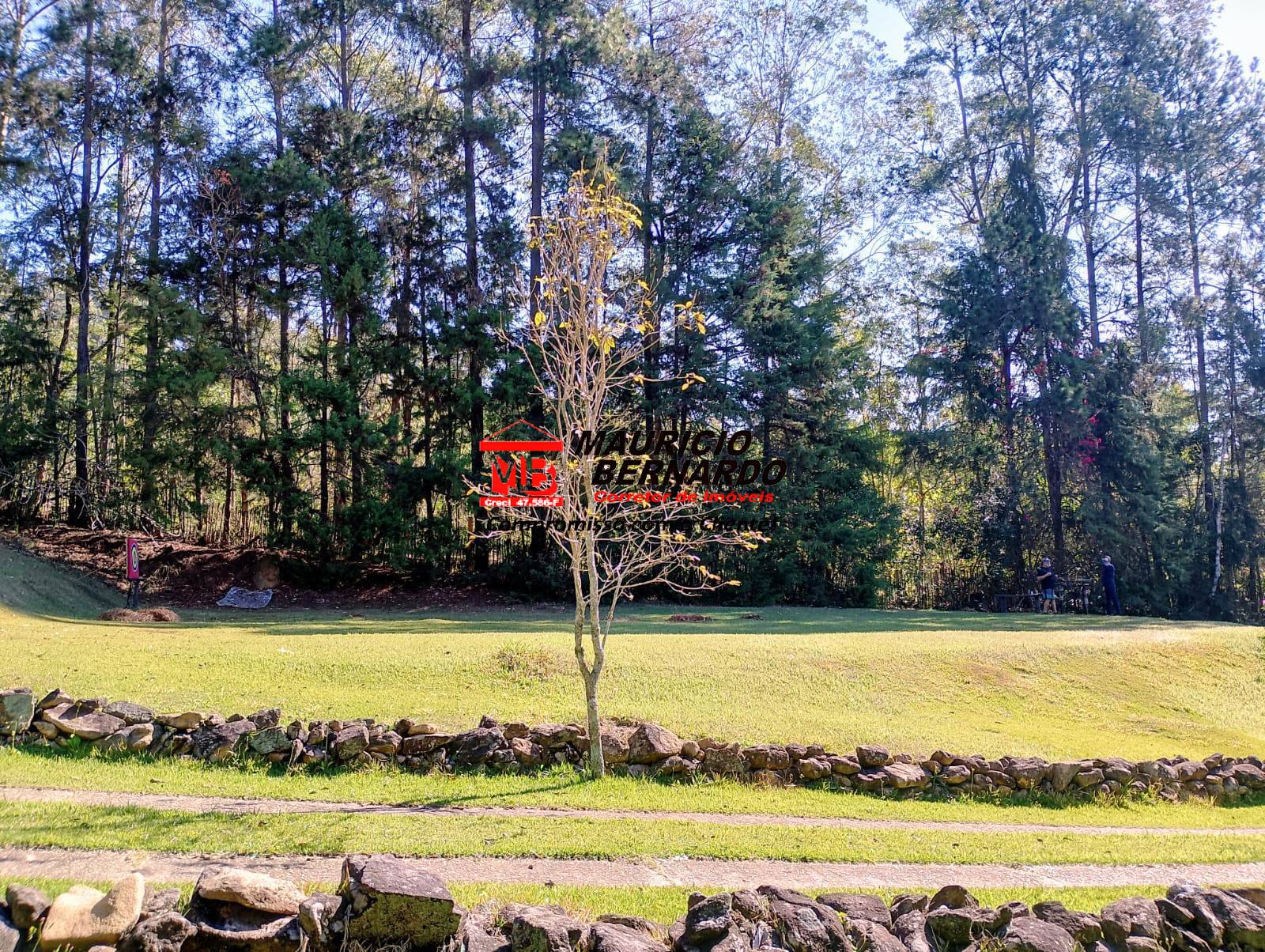 Terreno, 400 m² - Foto 3