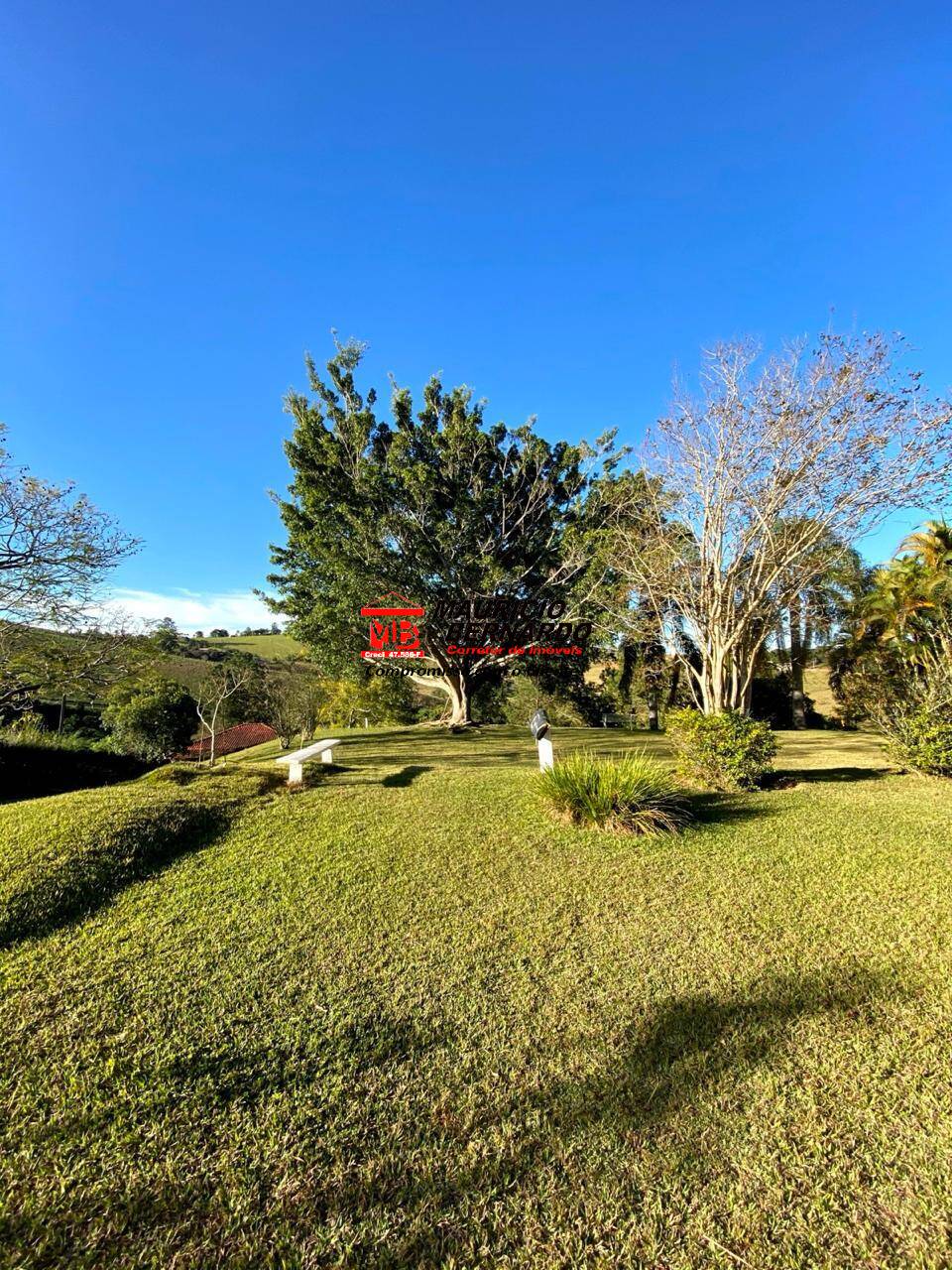 Chácara, 4 quartos, 1 hectares - Foto 7