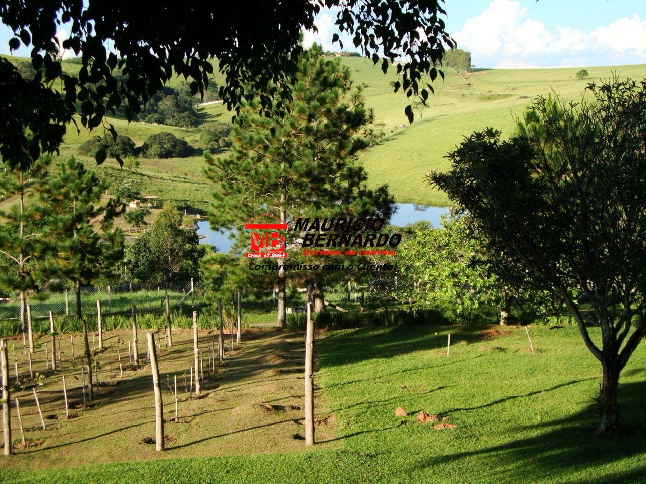 Chácara, 4 quartos, 1 hectares - Foto 10