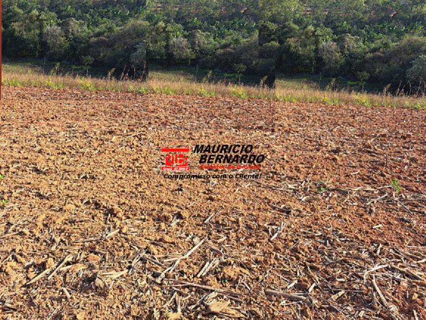 Sítio, 8 m² - Foto 17