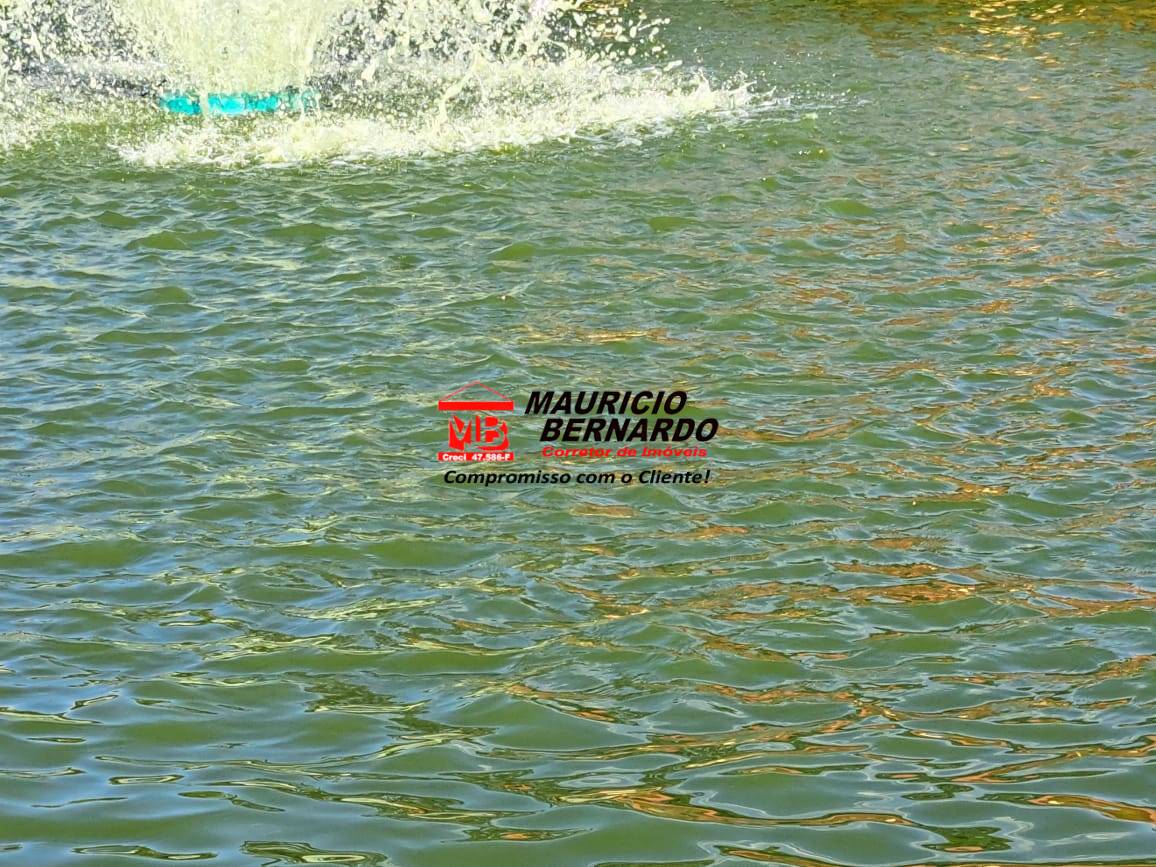 Sítio, 8 m² - Foto 19