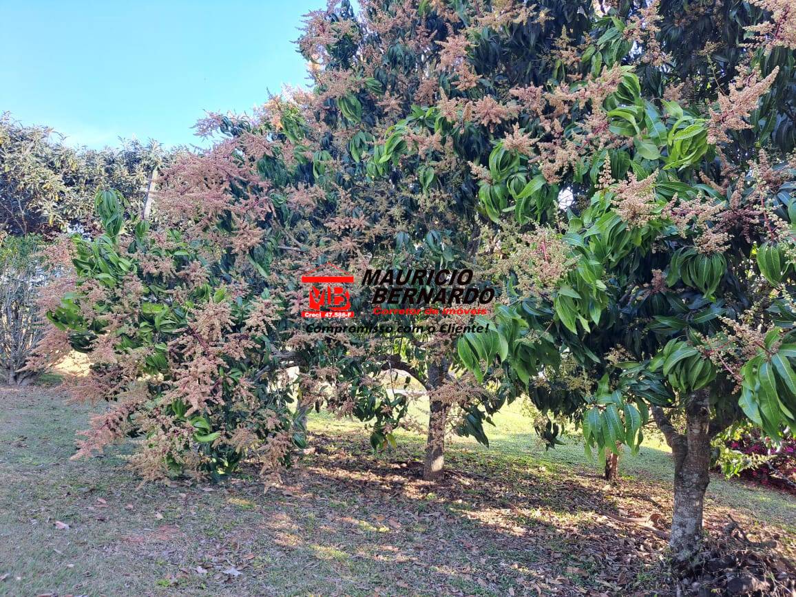 Sítio, 8 m² - Foto 18