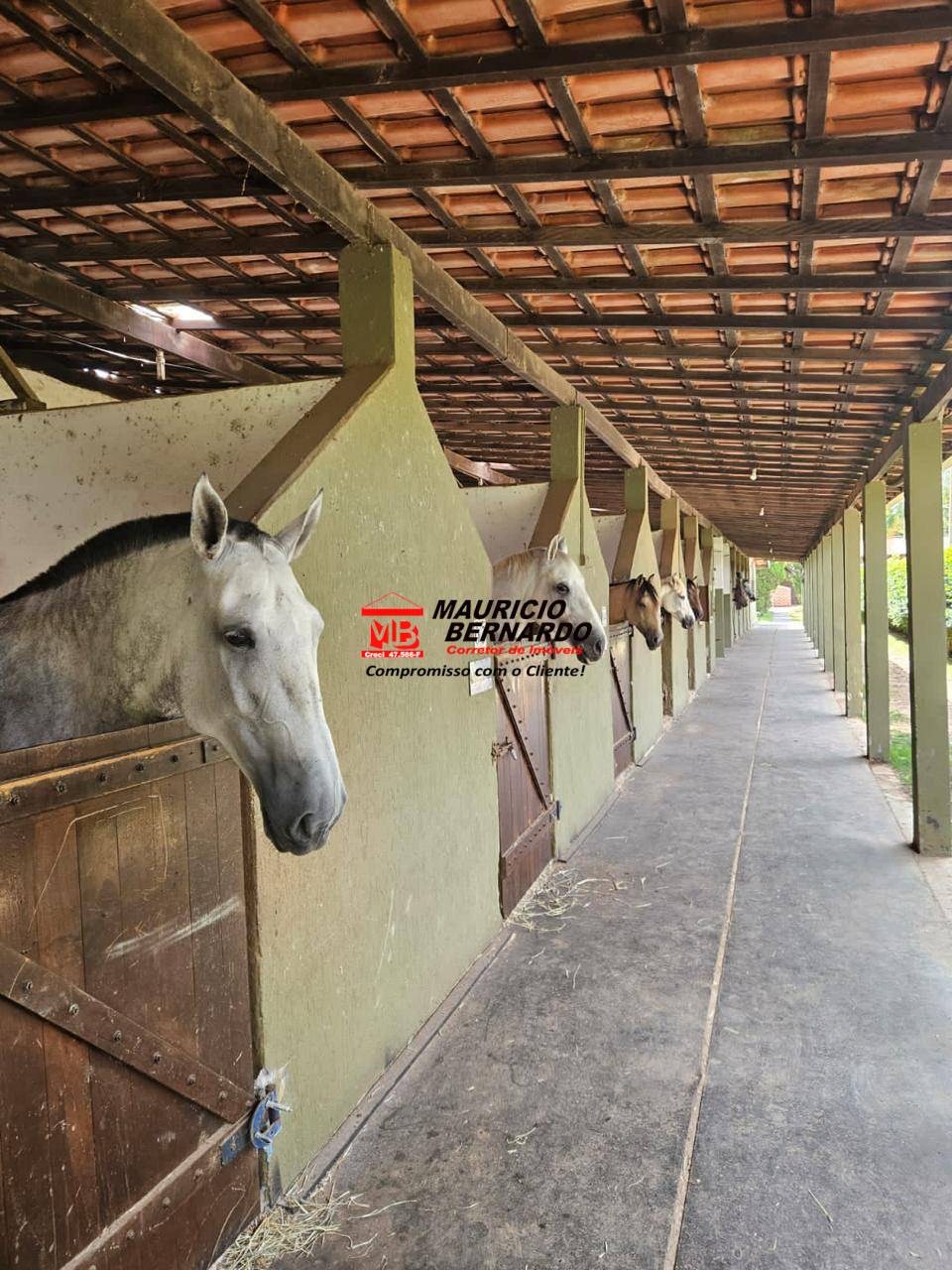 Sítio, 11 m² - Foto 2