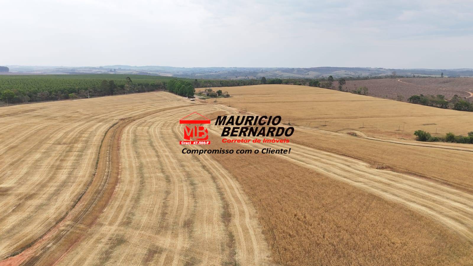Terreno, 338 m² - Foto 5