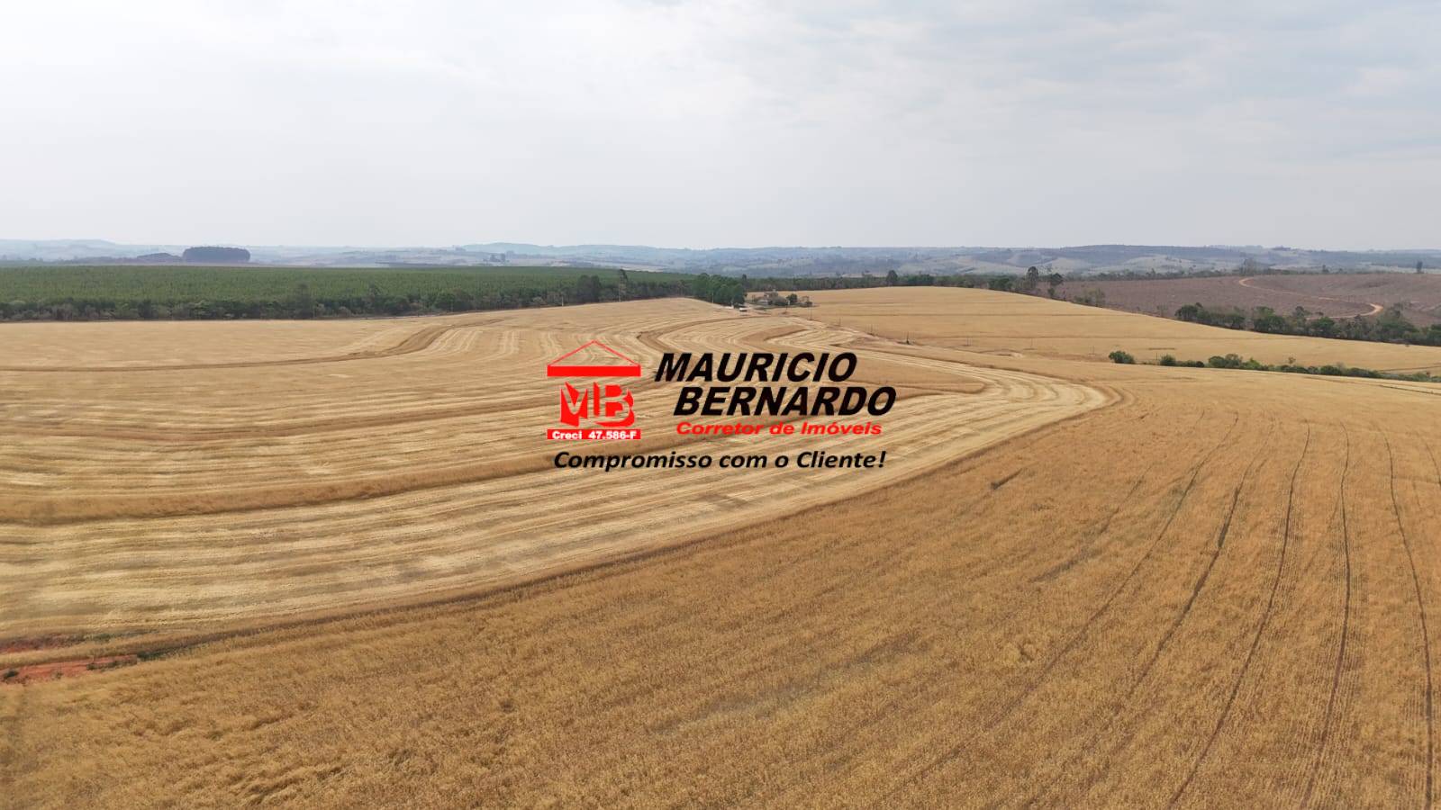 Terreno, 338 m² - Foto 8