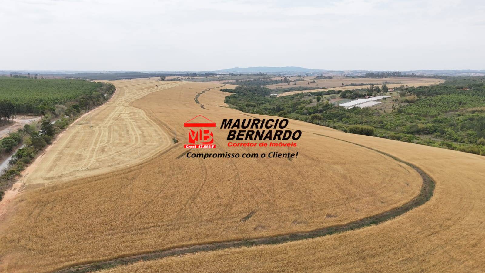 Terreno, 338 m² - Foto 7