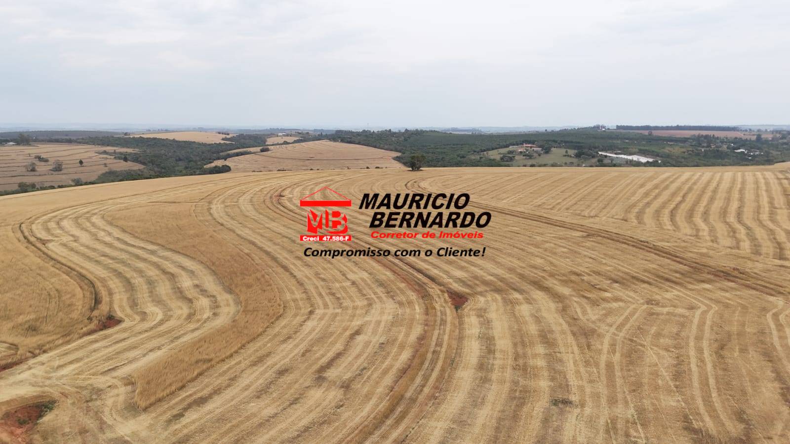 Terreno, 338 m² - Foto 4