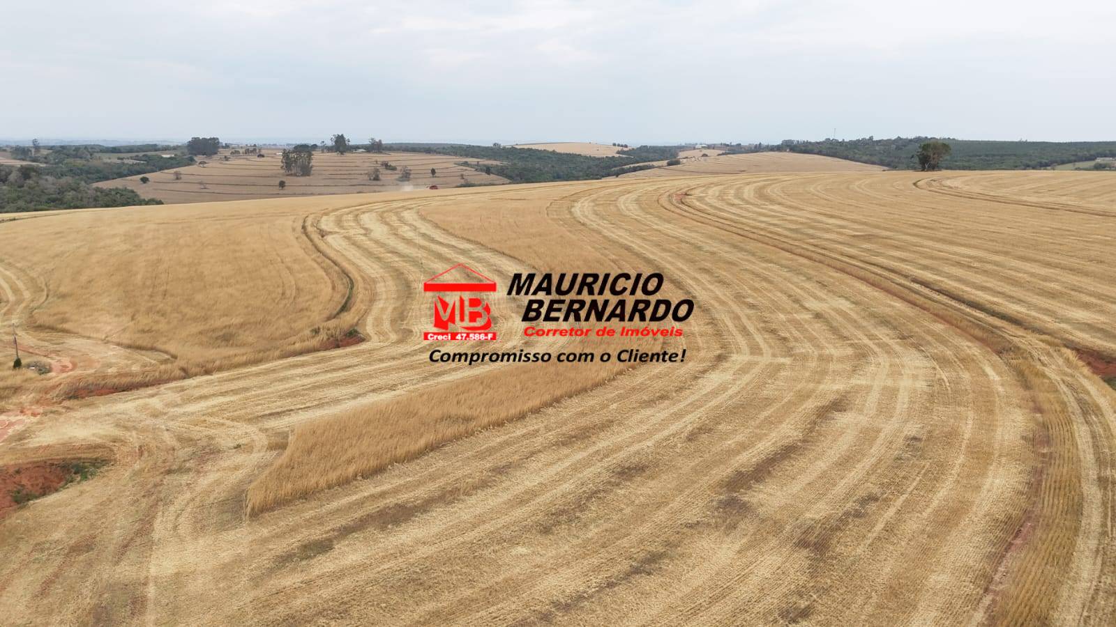 Terreno, 338 m² - Foto 3