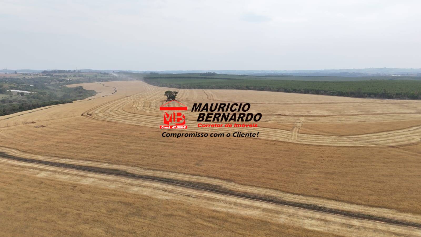Terreno, 338 m² - Foto 9