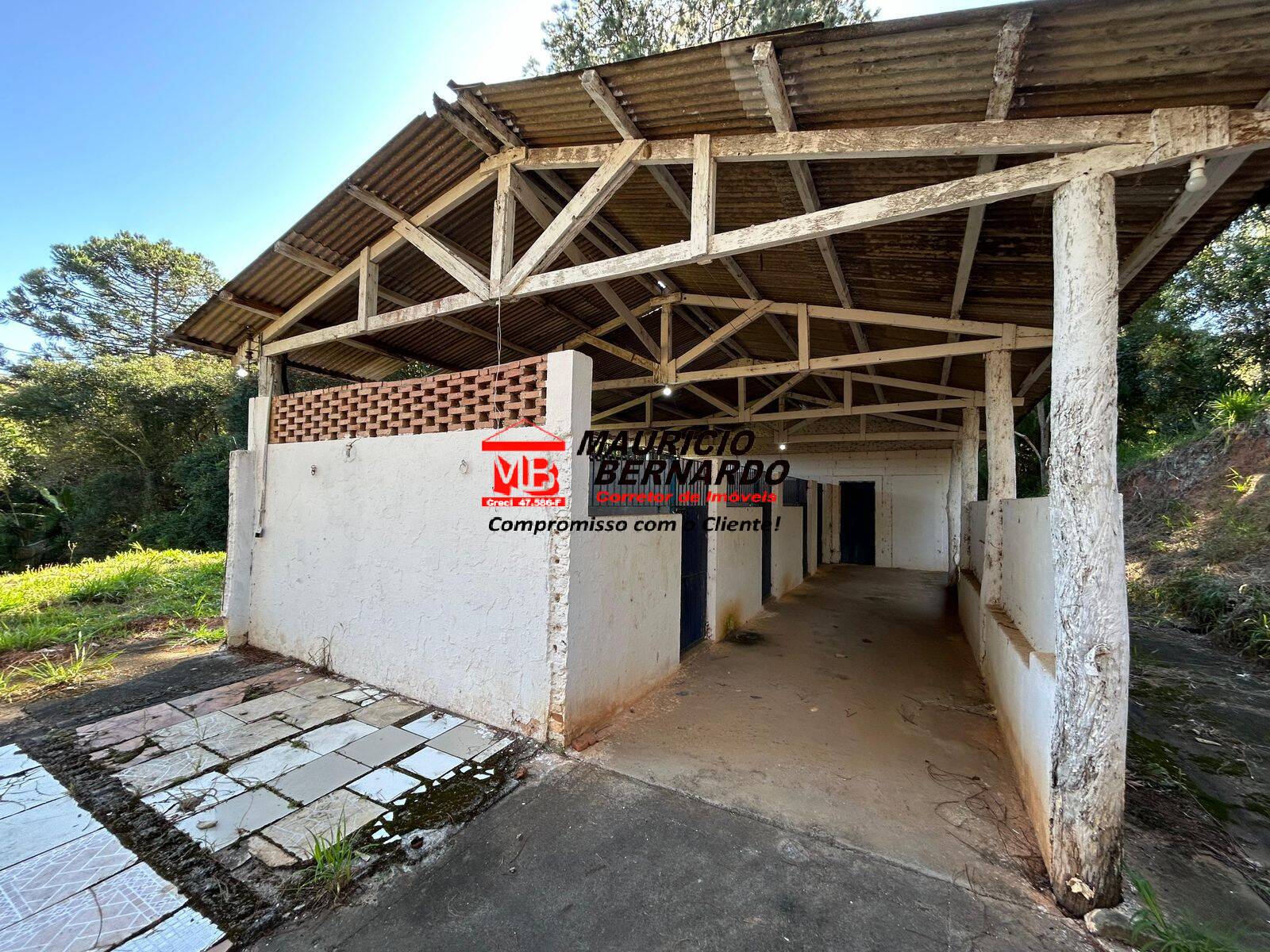 Sítio, 4 quartos, 4 m² - Foto 8