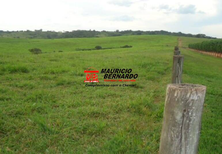 Fazenda, 261 m² - Foto 3