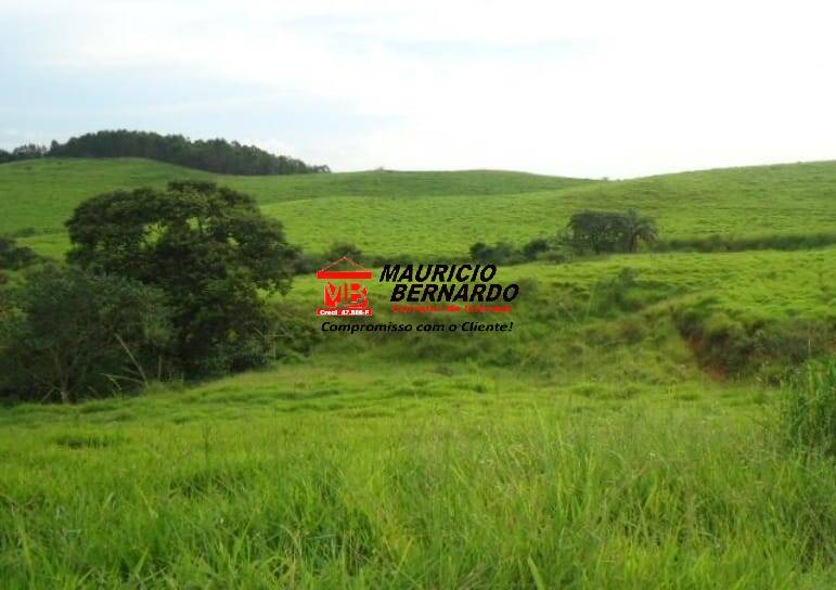 Fazenda, 261 m² - Foto 7