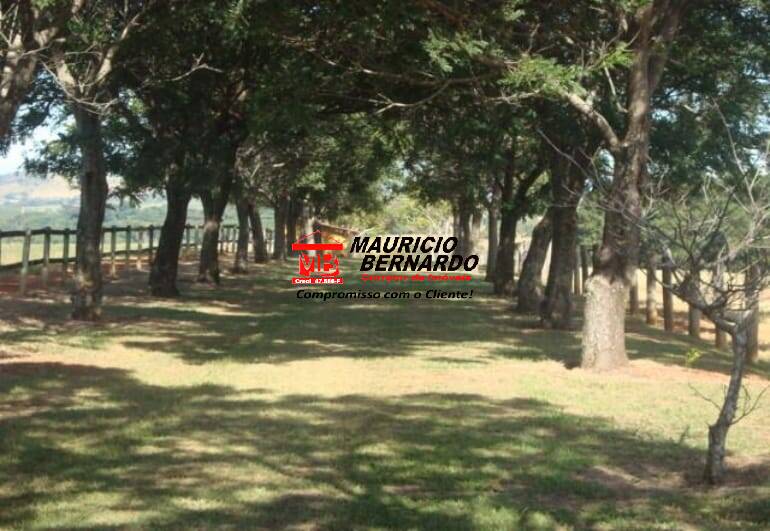 Fazenda, 261 m² - Foto 19
