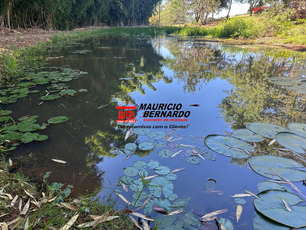 Fazenda, 66 m² - Foto 7