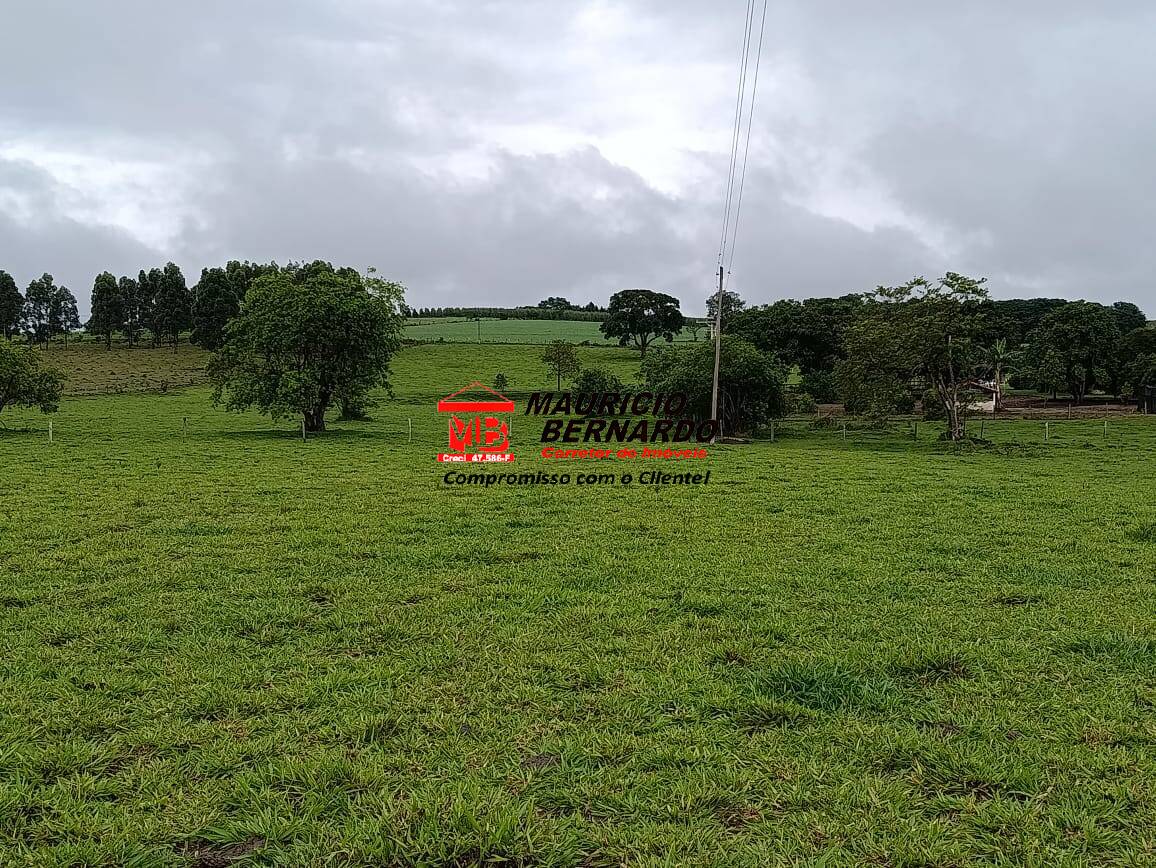 Fazenda, 75 m² - Foto 6