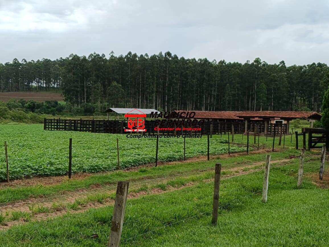 Fazenda, 75 m² - Foto 5
