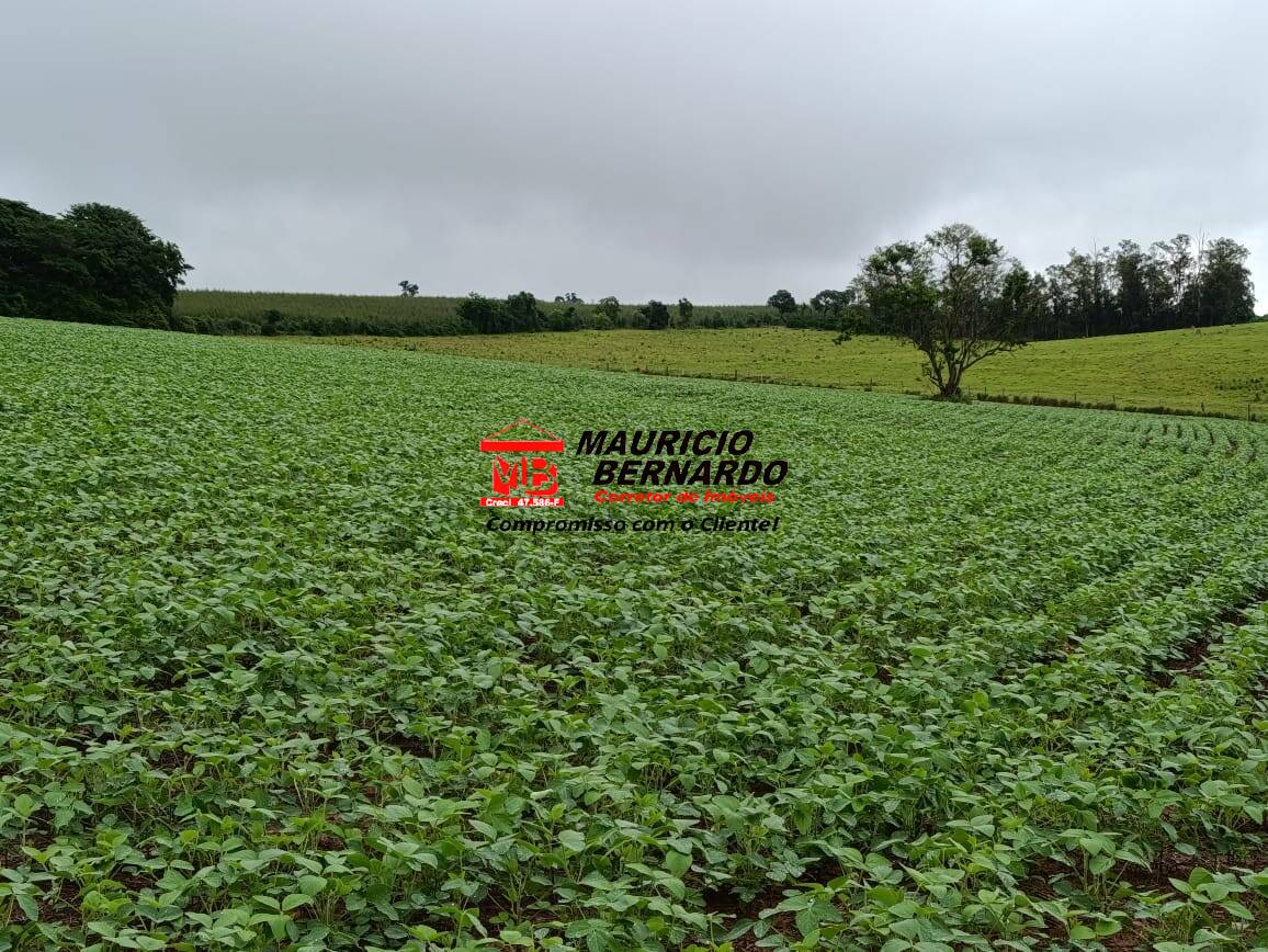 Fazenda, 75 m² - Foto 7