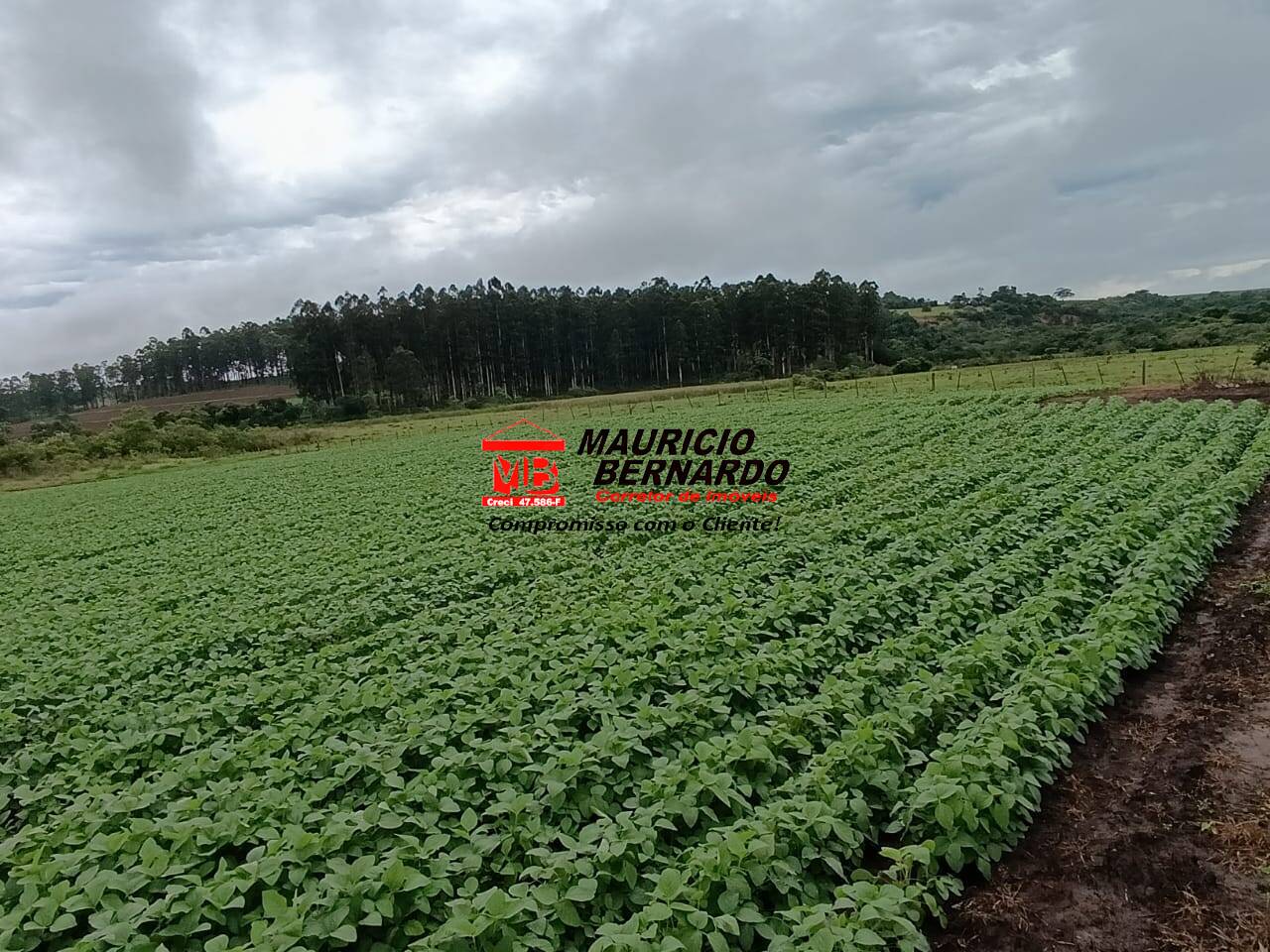 Fazenda, 75 m² - Foto 4