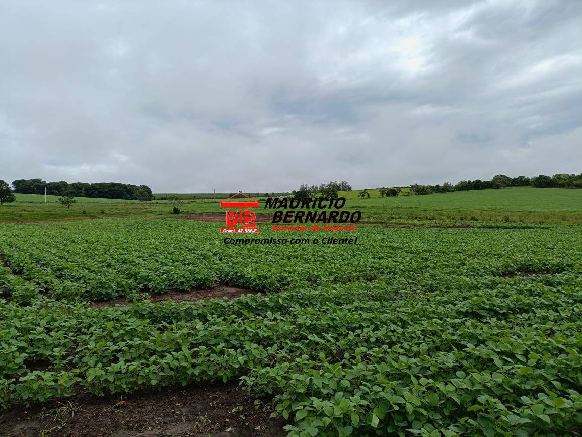 Fazenda, 75 m² - Foto 10