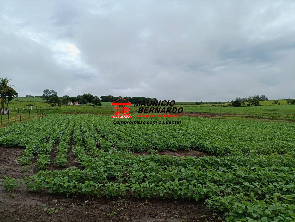 Fazenda, 75 m² - Foto 13