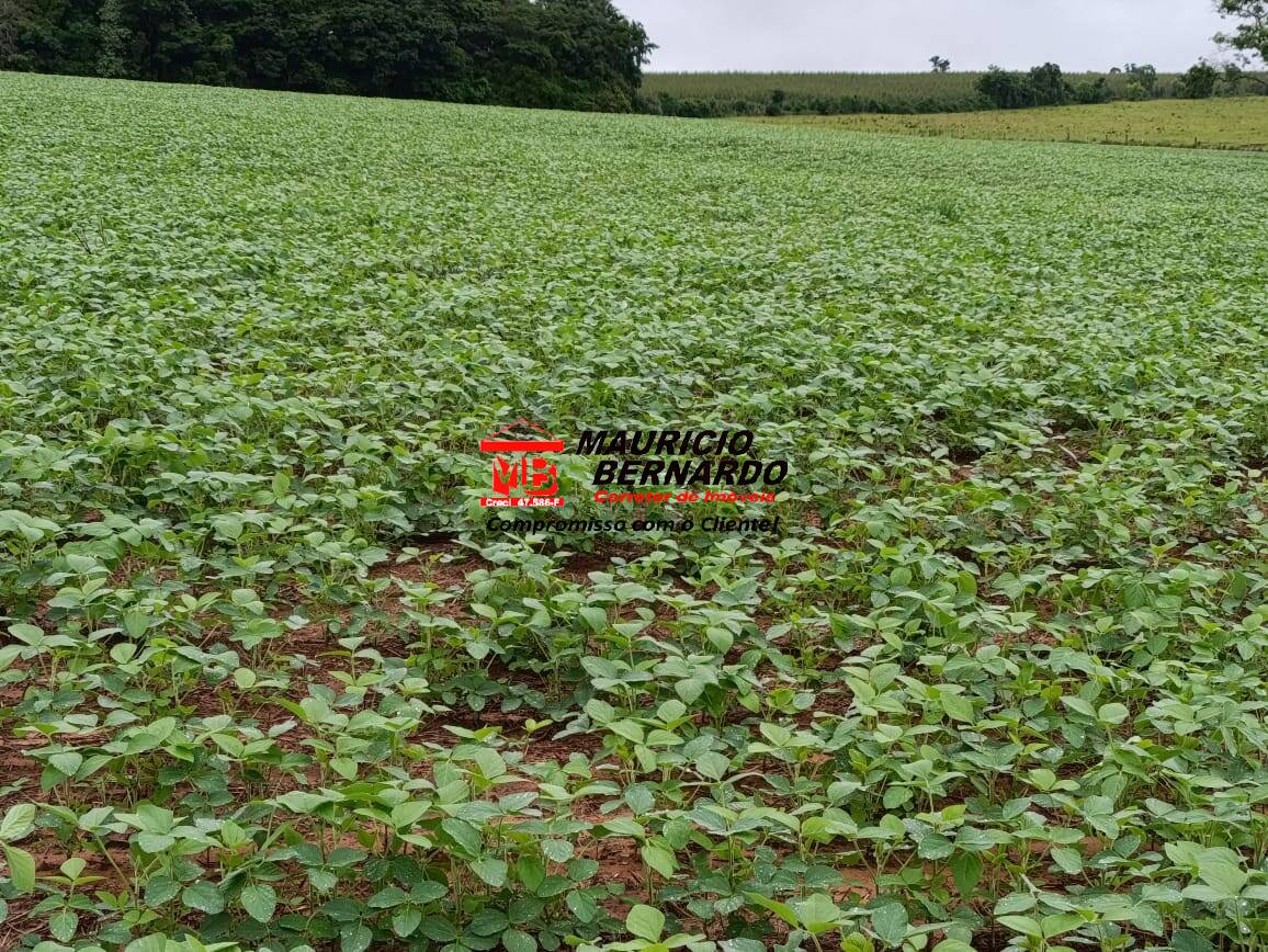 Fazenda, 75 m² - Foto 15