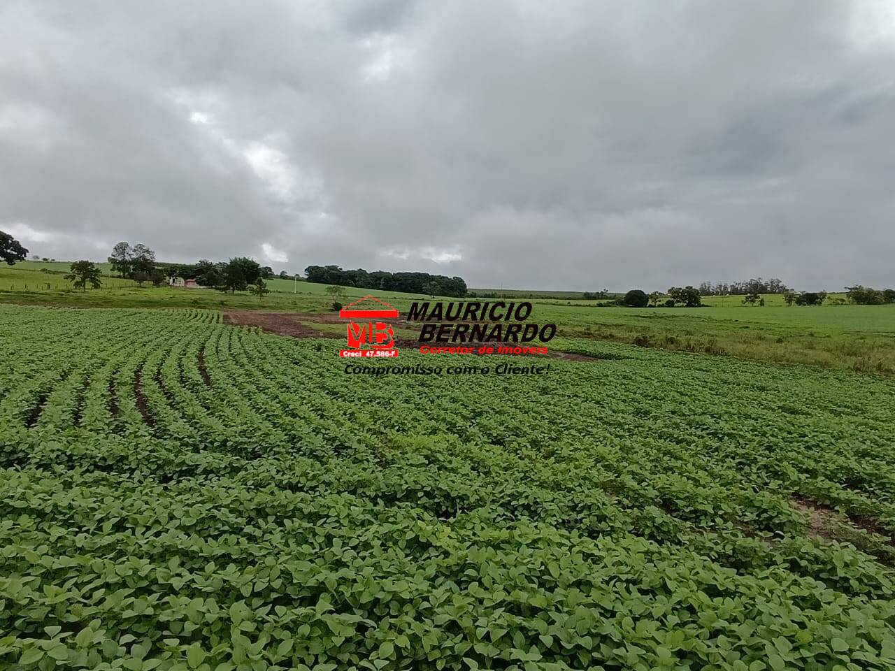 Fazenda, 75 m² - Foto 12