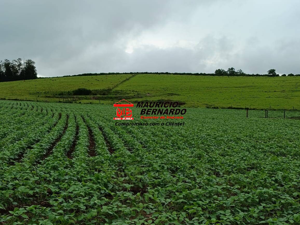 Fazenda, 75 m² - Foto 17