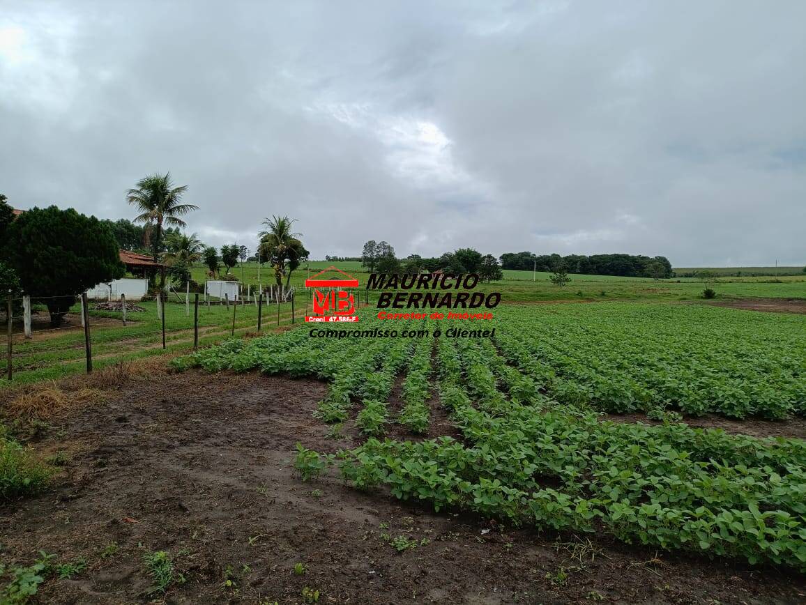 Fazenda, 75 m² - Foto 24