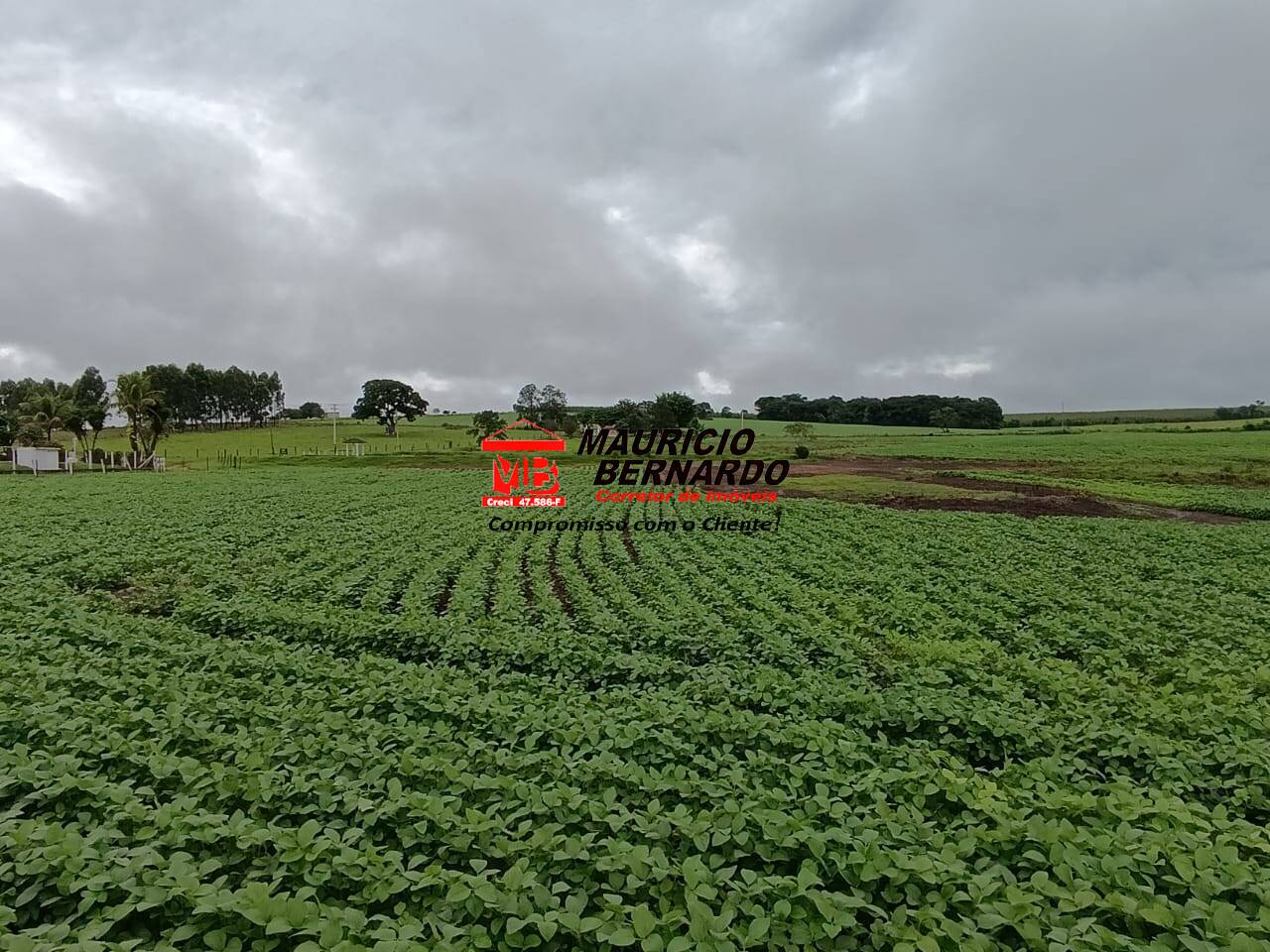 Fazenda, 75 m² - Foto 28