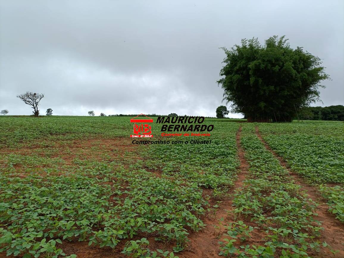 Fazenda, 75 m² - Foto 33