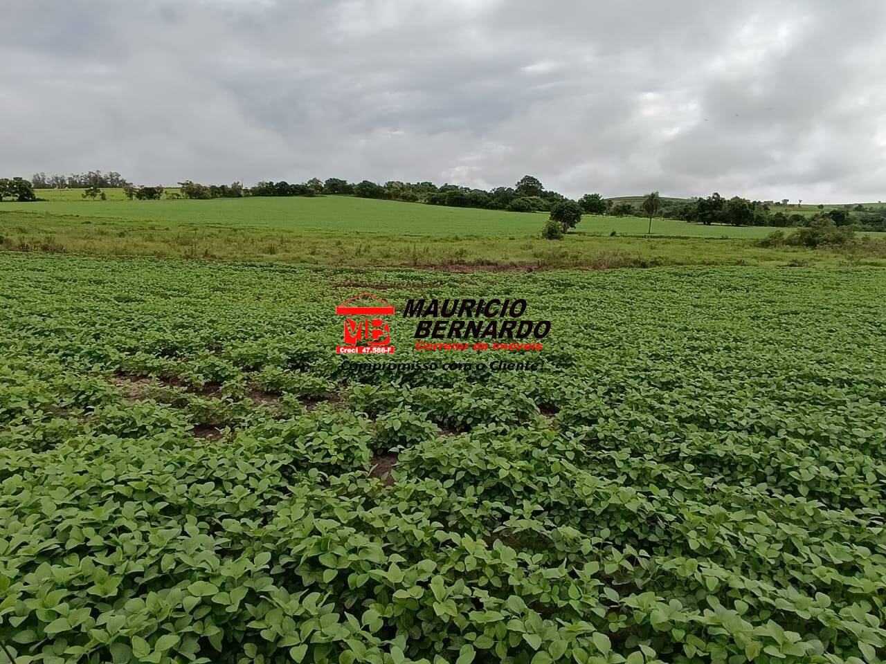 Fazenda, 75 m² - Foto 37