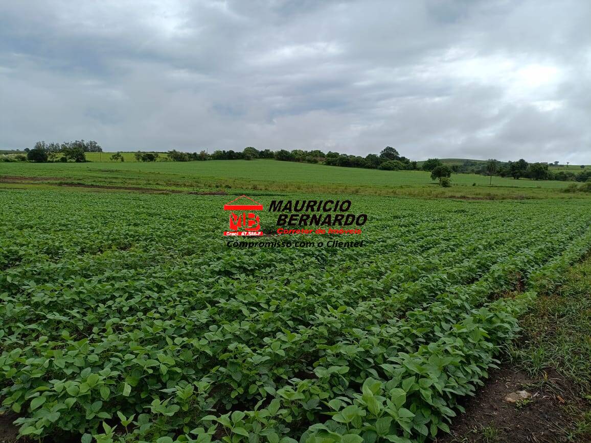 Fazenda, 75 m² - Foto 41